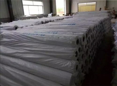 宁河pvc防水卷材单价厂家供应,晟诺防水公司